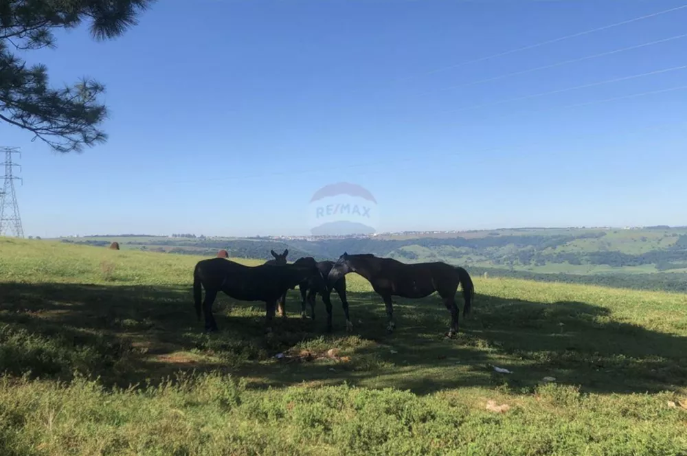 Fazenda à venda com 8 quartos, 285000m² - Foto 3