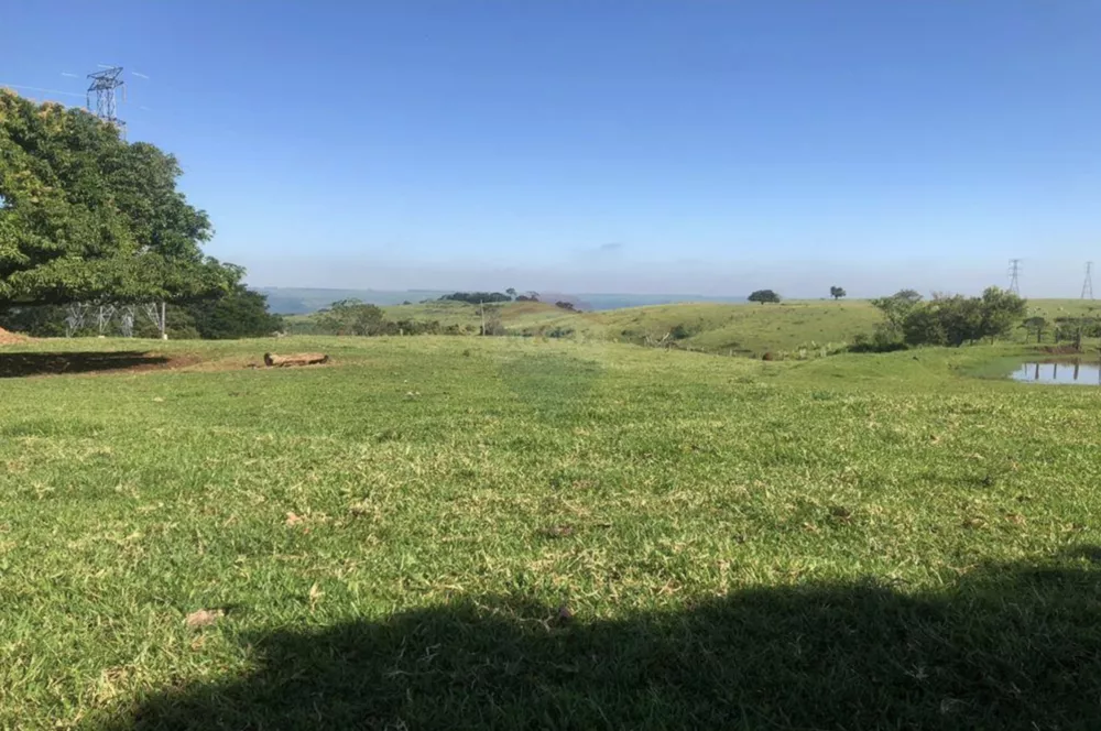 Fazenda à venda com 8 quartos, 285000m² - Foto 6