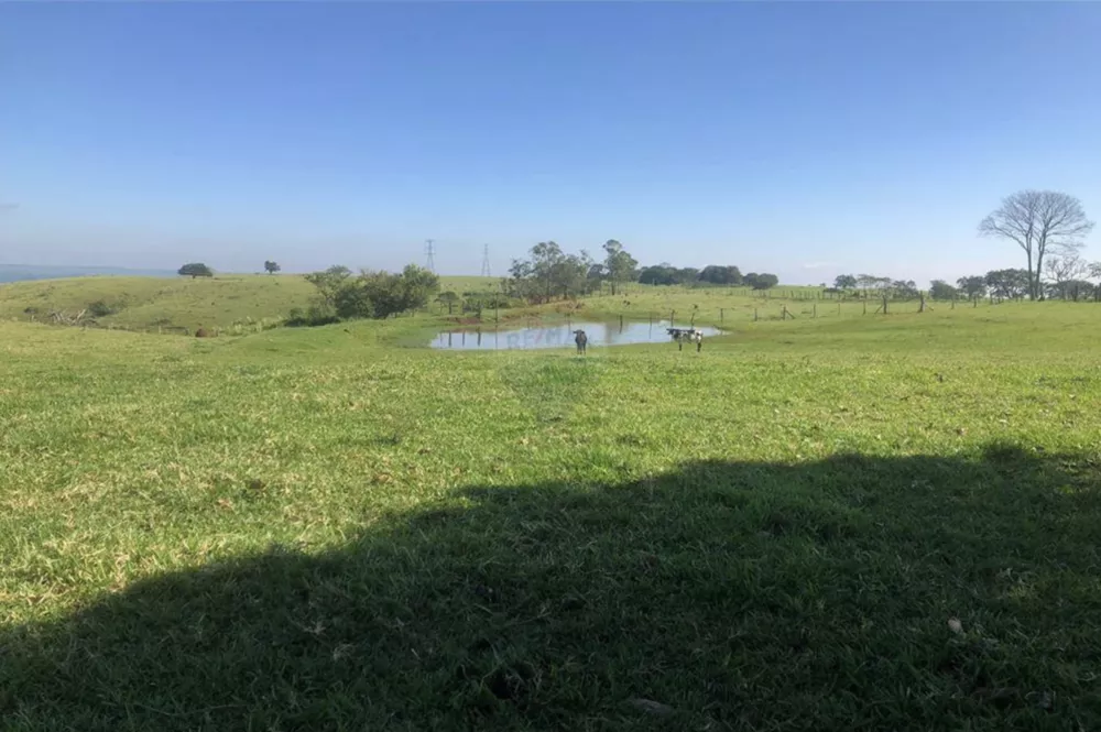 Fazenda à venda com 8 quartos, 285000m² - Foto 7