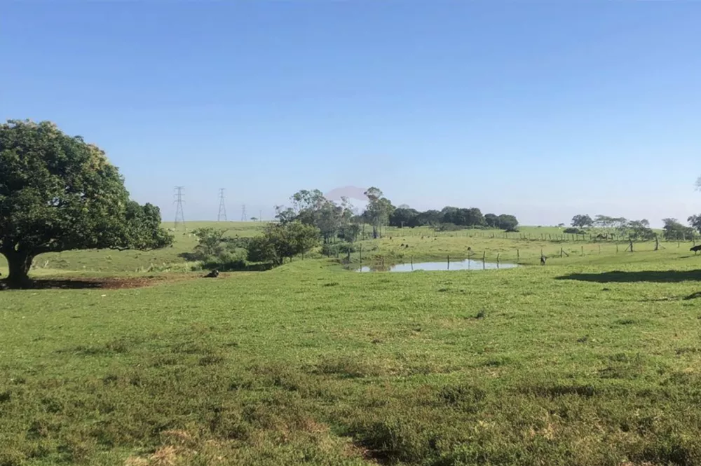 Fazenda à venda com 8 quartos, 285000m² - Foto 2