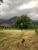 Fazenda, 20 quartos - Foto 2