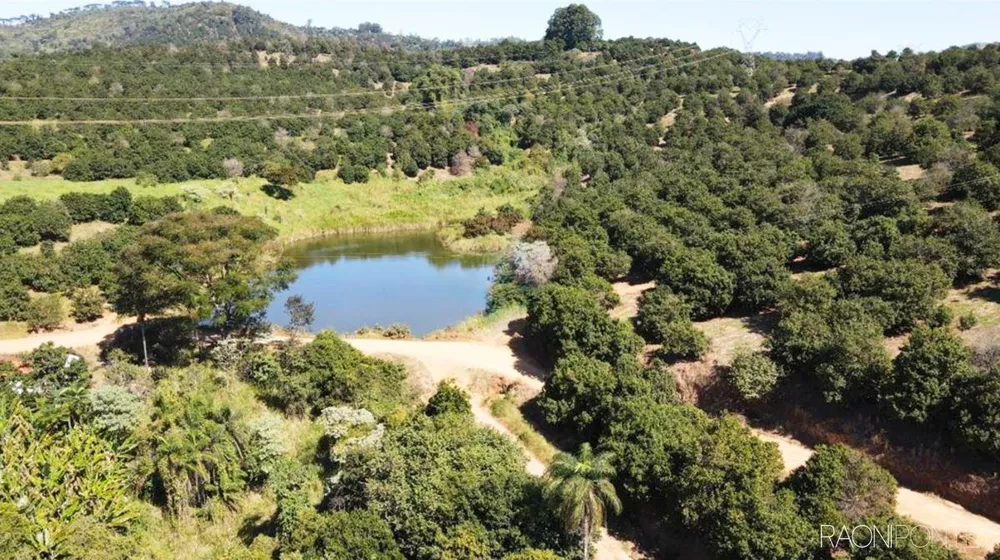 Fazenda à venda com 10 quartos, 6220000m² - Foto 2