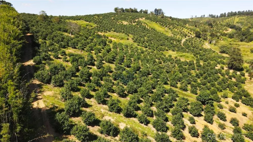 Fazenda à venda com 10 quartos, 6220000m² - Foto 1