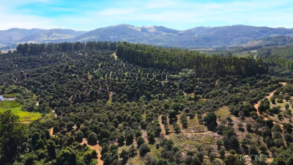 Fazenda à venda com 10 quartos, 6220000m² - Foto 3