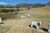 Fazenda, 10 quartos - Foto 4