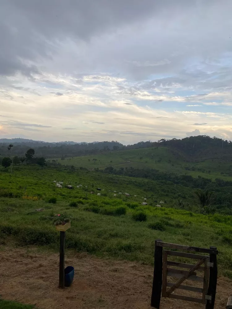 Fazenda à venda com 10 quartos, 12874400m² - Foto 5