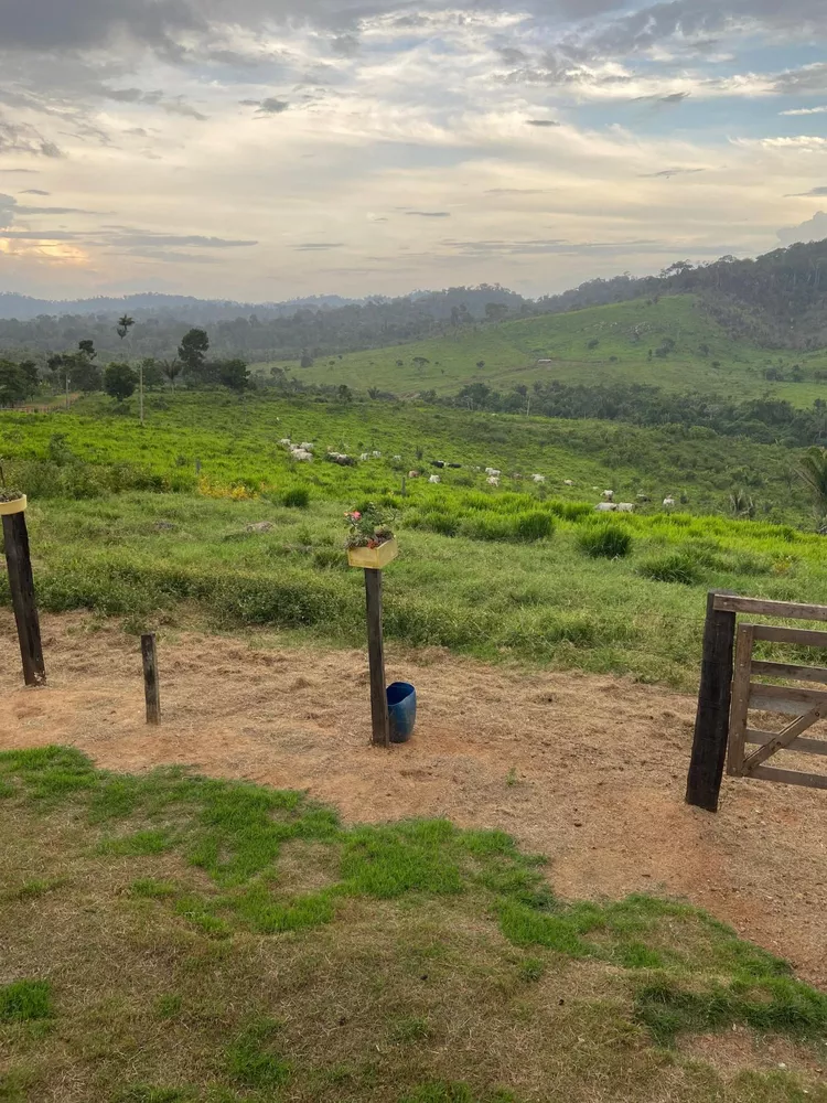 Fazenda à venda com 10 quartos, 12874400m² - Foto 4