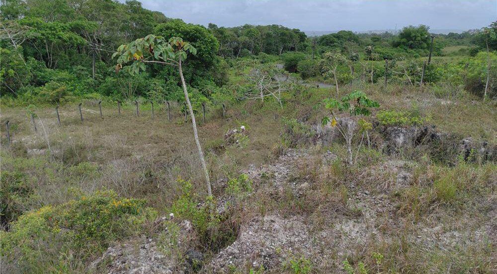 Terreno à venda, 17000m² - Foto 3