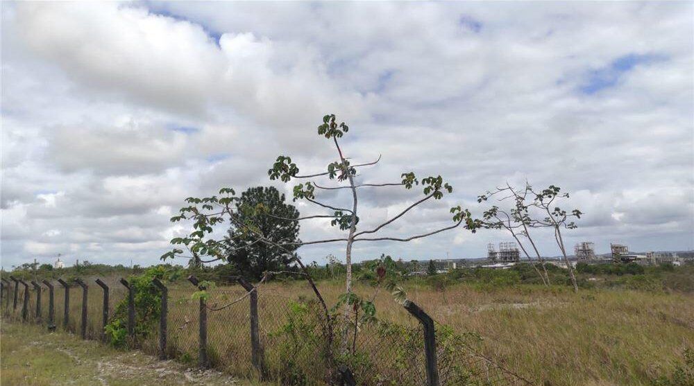 Terreno à venda, 17000m² - Foto 8