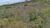 Terreno, 2 hectares - Foto 6