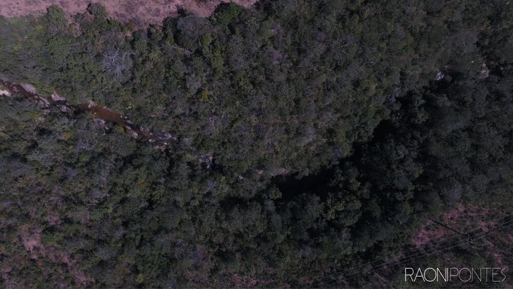 Fazenda à venda com 30 quartos, 94041000m² - Foto 8