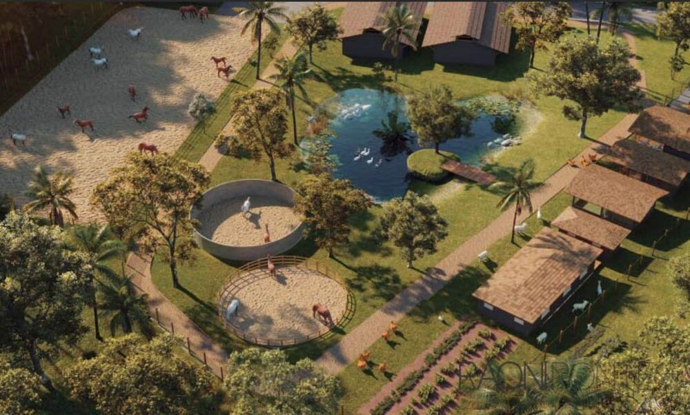 Terreno à venda, 750m² - Foto 3