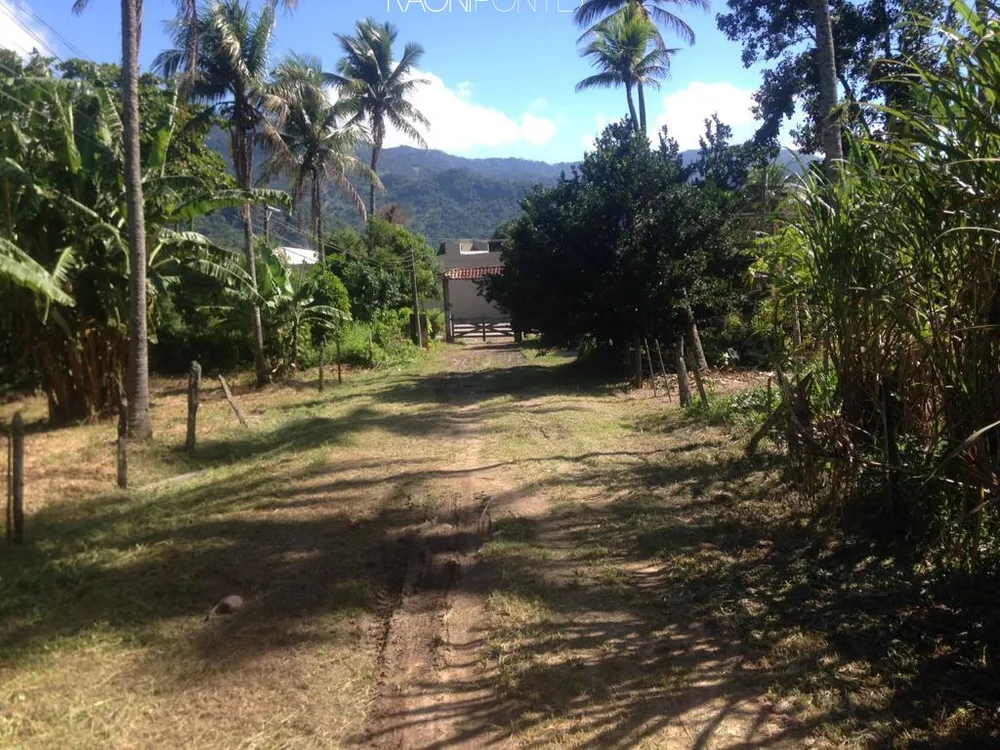 Fazenda, 20 quartos - Foto 6