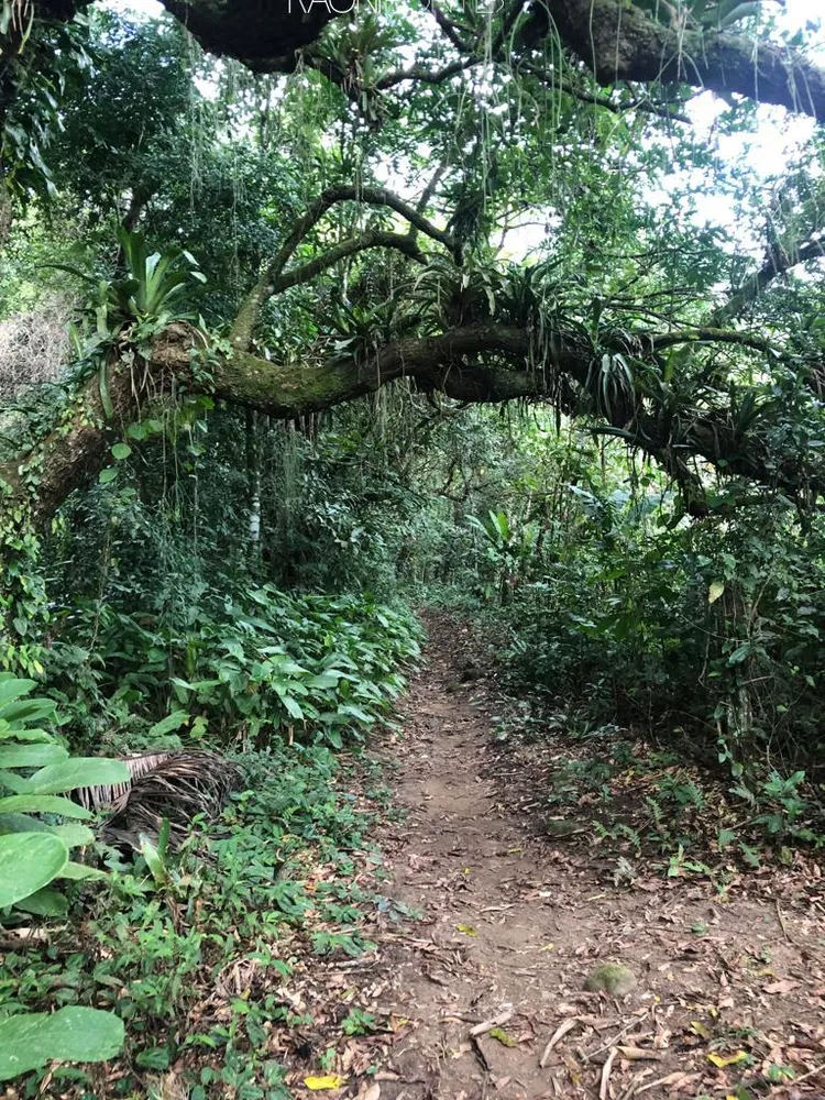 Fazenda, 20 quartos - Foto 5
