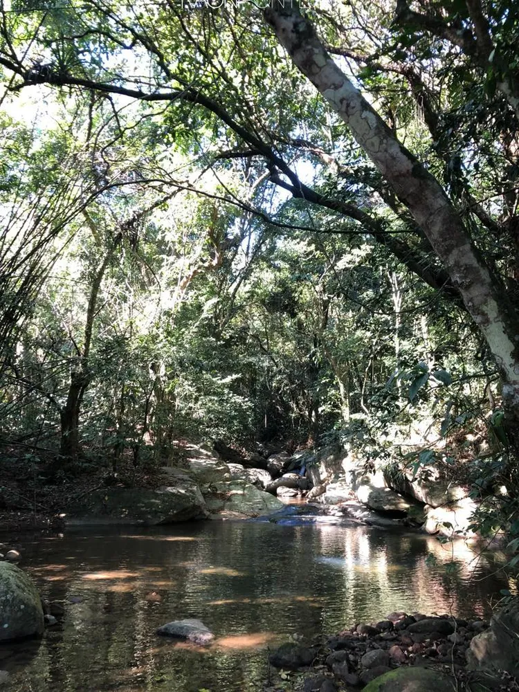 Fazenda, 20 quartos - Foto 19
