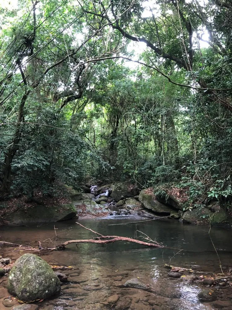 Fazenda, 20 quartos - Foto 24