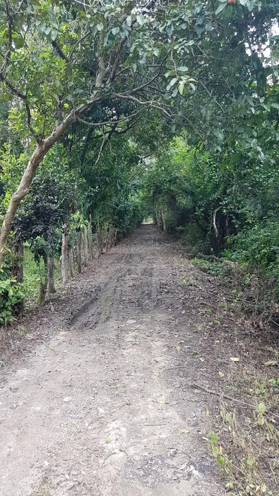 Fazenda, 20 quartos - Foto 30