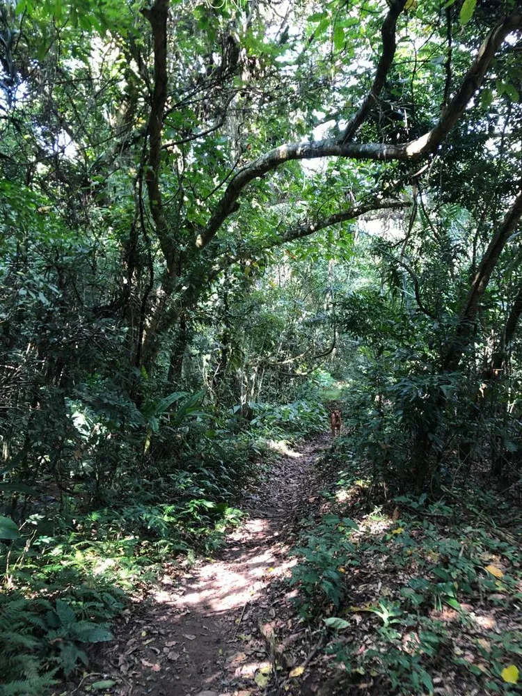 Fazenda, 20 quartos - Foto 23