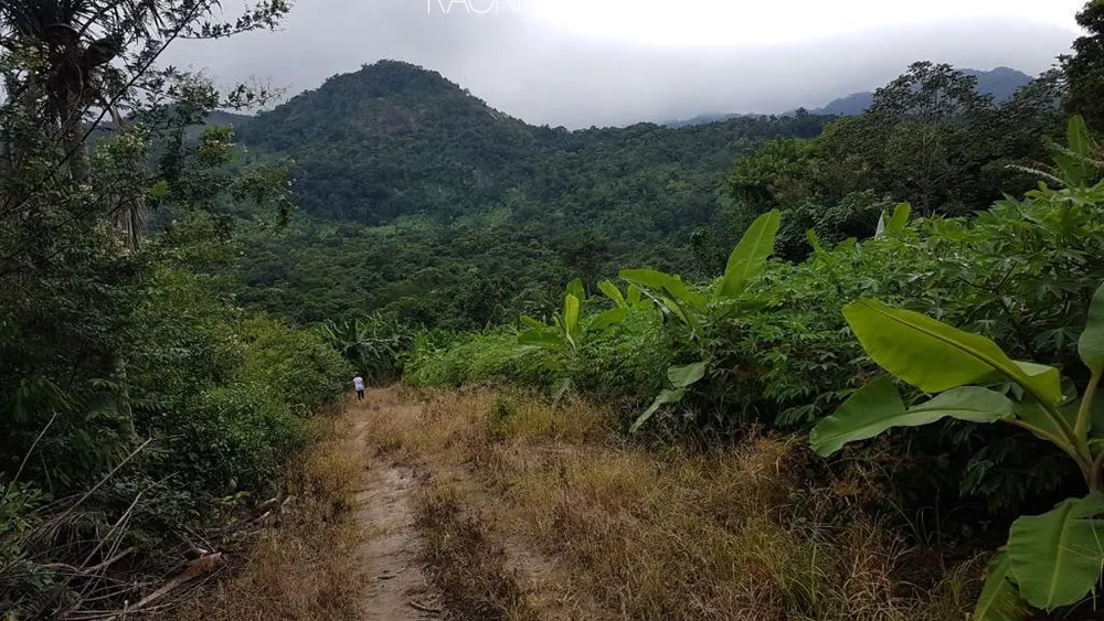 Fazenda, 20 quartos - Foto 16