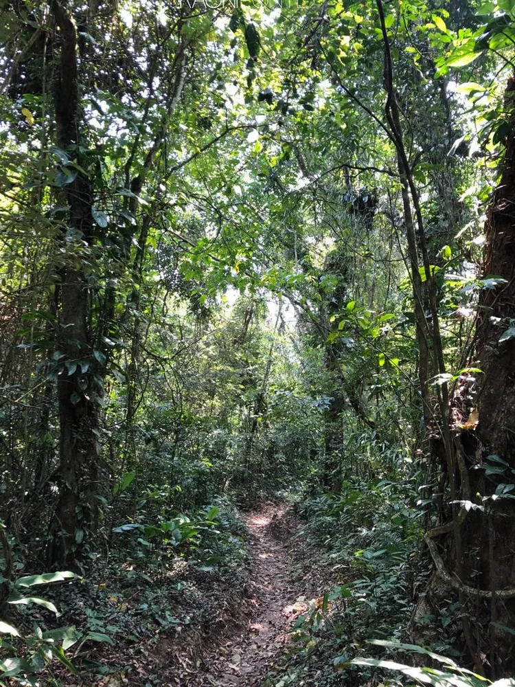 Fazenda, 20 quartos - Foto 25