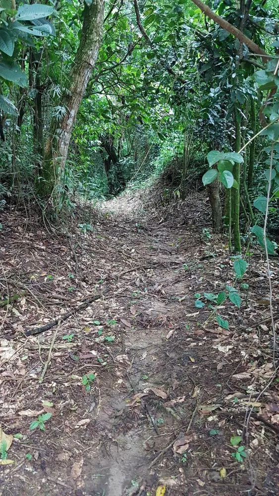 Fazenda, 20 quartos - Foto 29