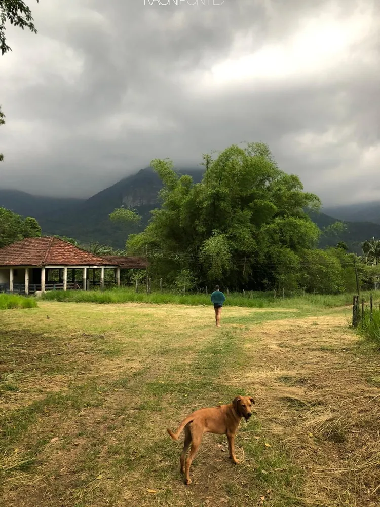 Fazenda, 20 quartos - Foto 2