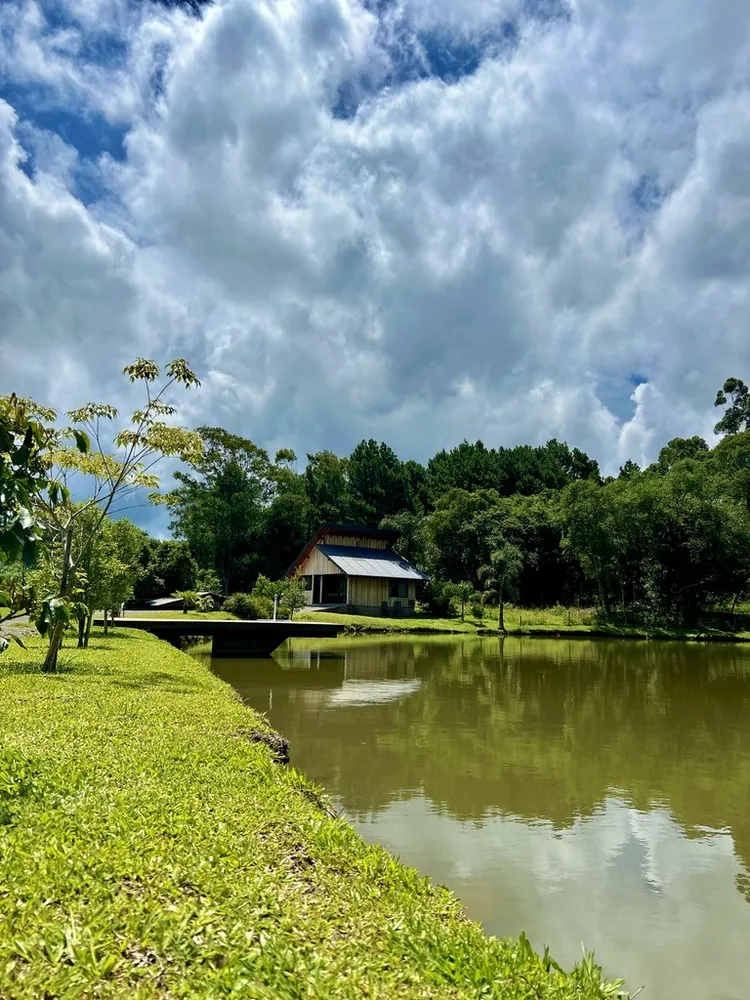 Chácara, 1 quarto, 6000 m² - Foto 7