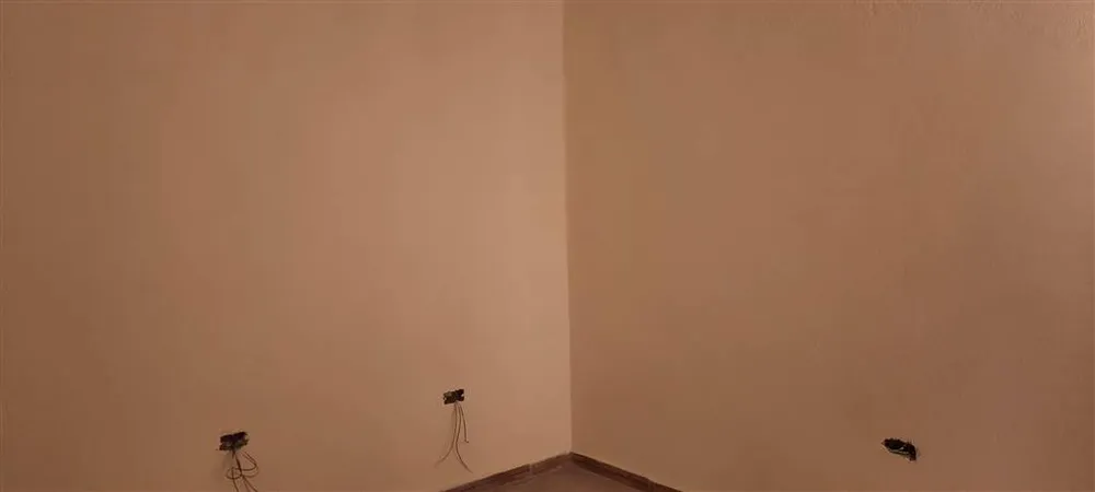 Casa, 2 quartos, 45 m² - Foto 4