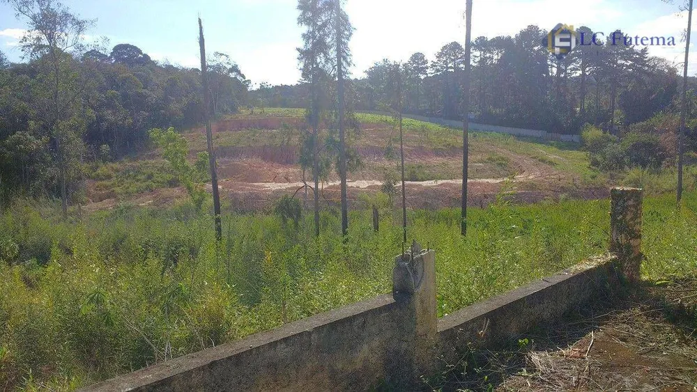 Terreno, 6692 m² - Foto 2