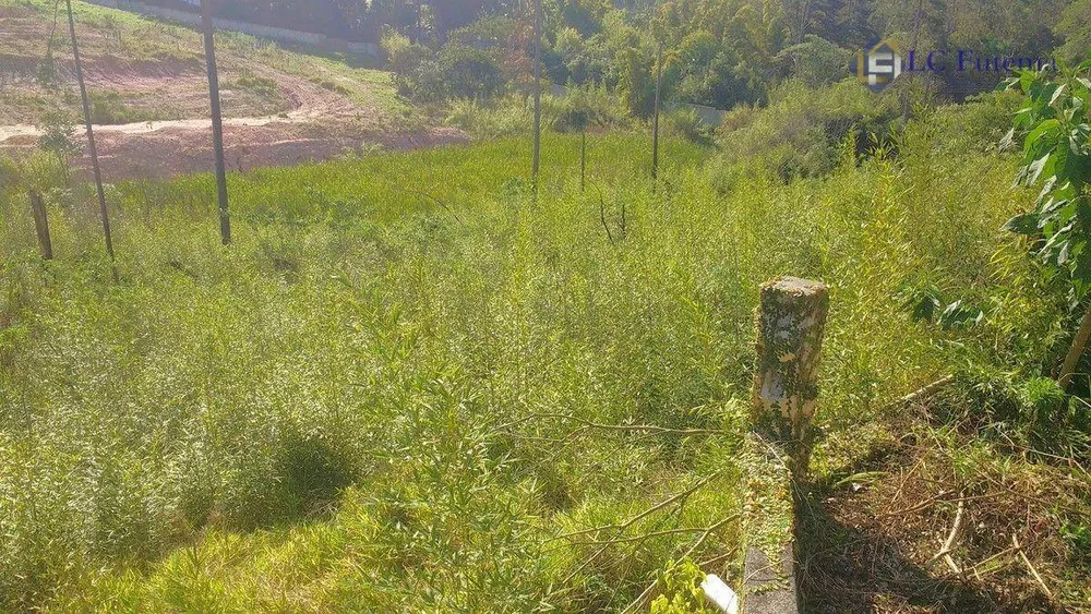 Terreno, 6692 m² - Foto 3