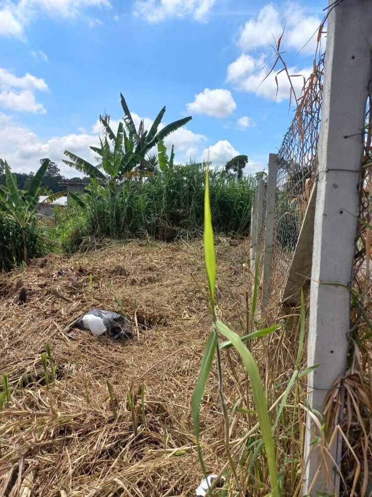 Terreno, 360 m² - Foto 15