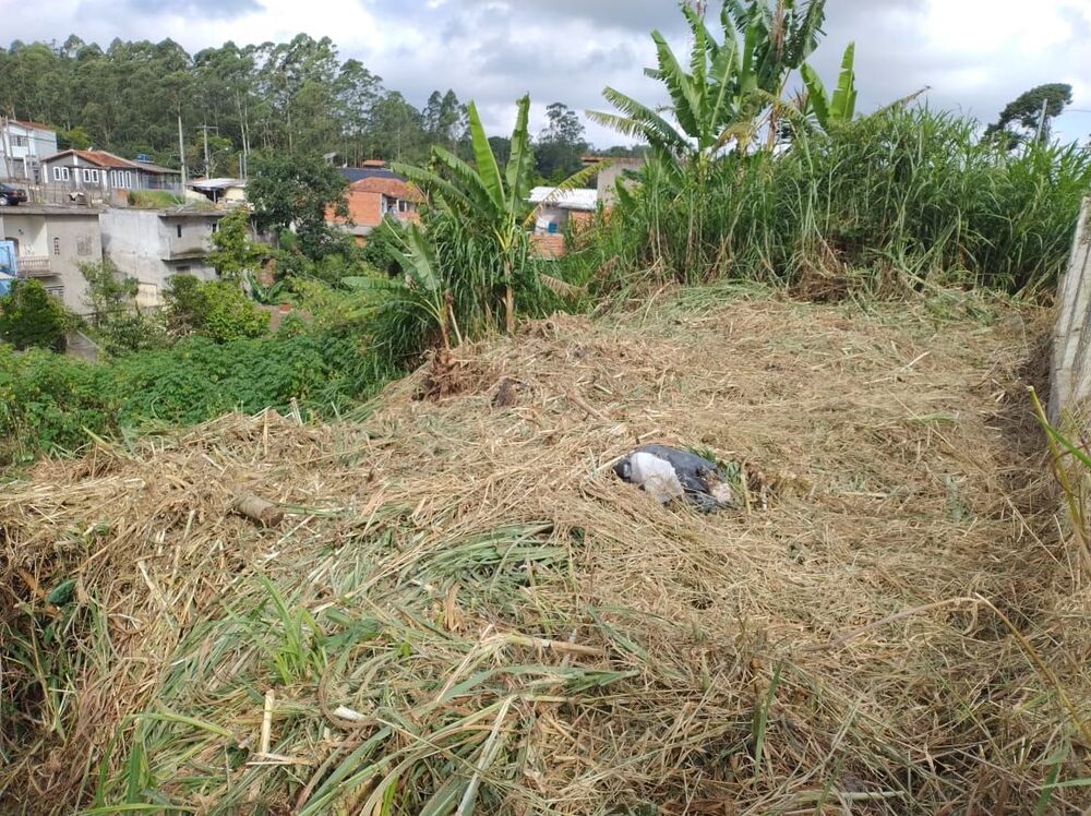 Terreno, 360 m² - Foto 6