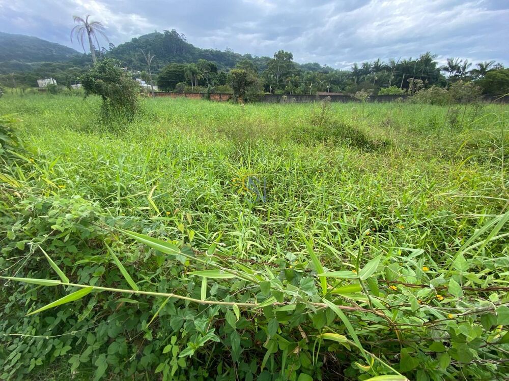 Terreno, 3500 m² - Foto 6