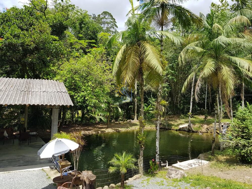 Chácara, 4 quartos, 3800 m² - Foto 3