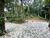 Terreno, 1 hectares - Foto 26