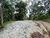 Terreno, 1 hectares - Foto 28