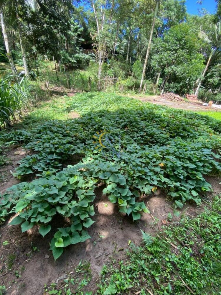 Chácara à venda, 29700m² - Foto 3