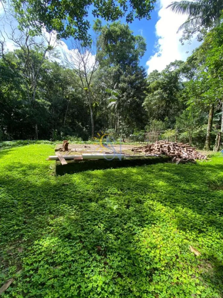 Chácara, 3 hectares - Foto 4