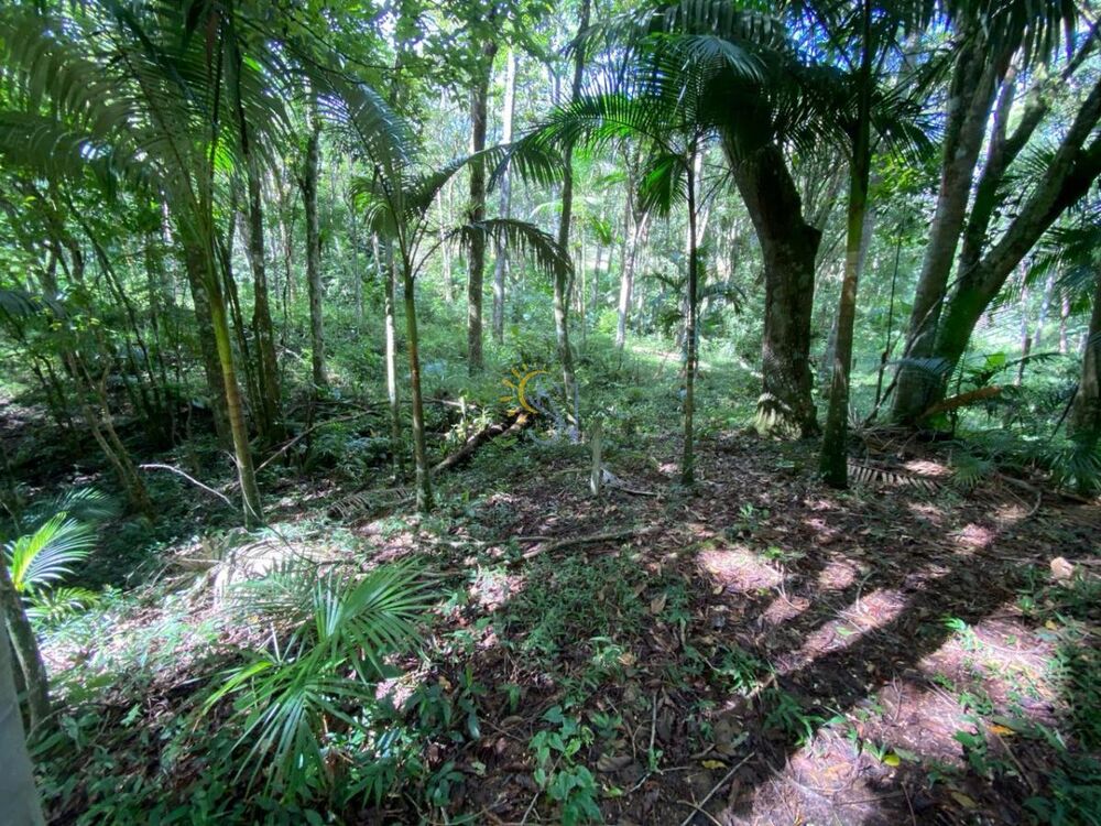 Chácara à venda, 29700m² - Foto 1
