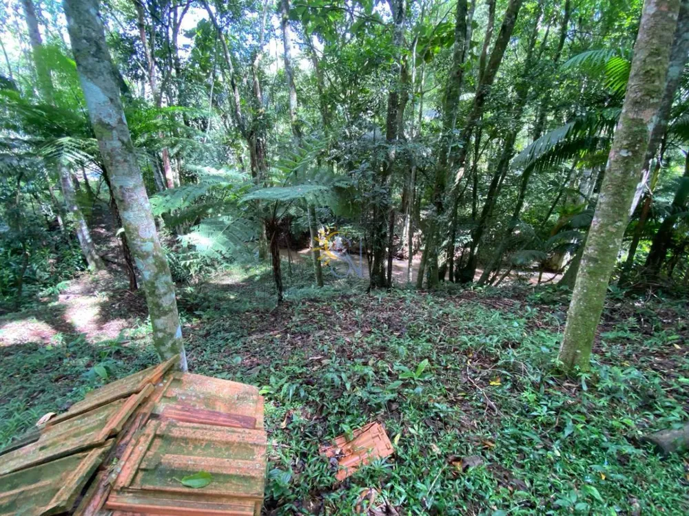 Chácara, 3 hectares - Foto 2