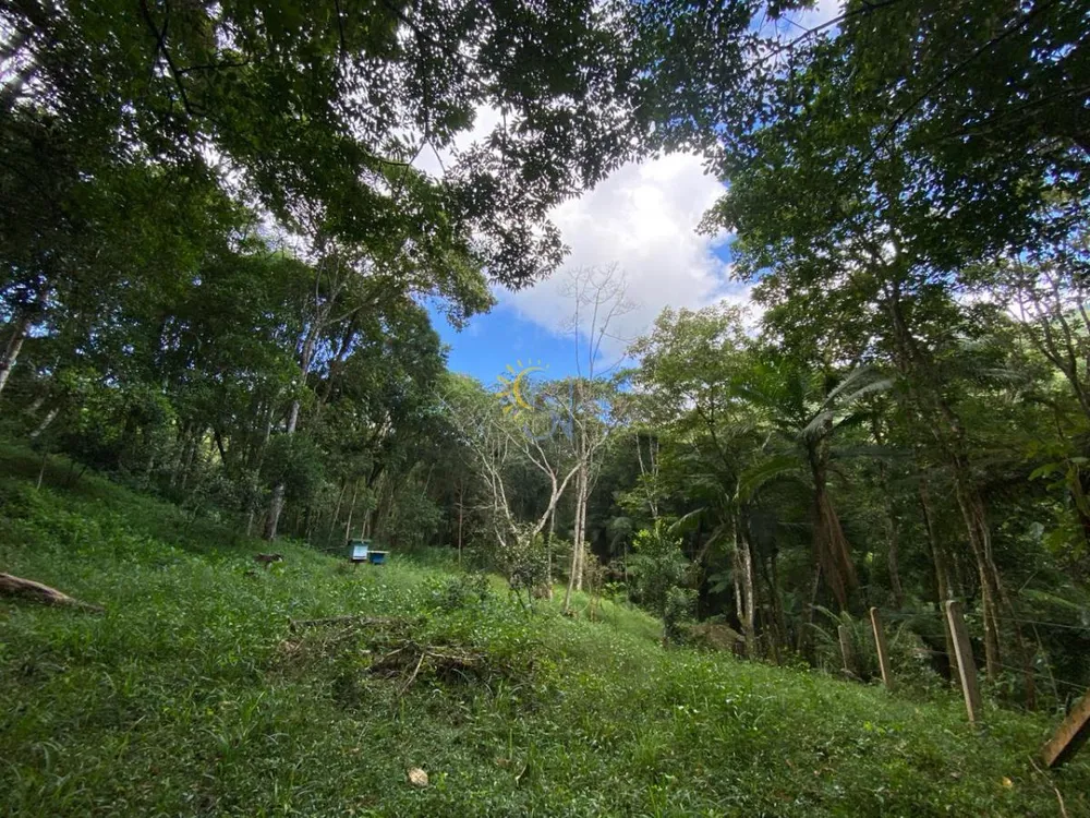 Chácara, 3 hectares - Foto 1