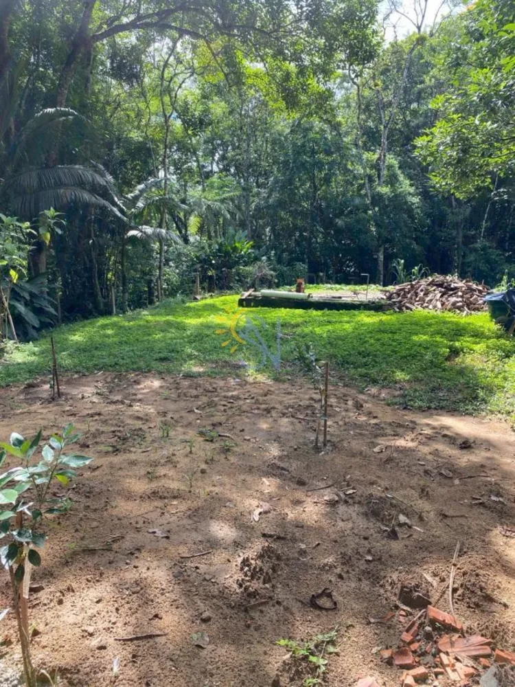 Terreno, 3 hectares - Foto 11