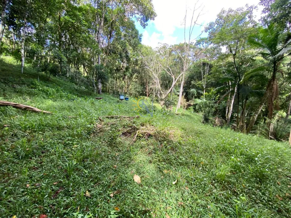 Terreno, 3 hectares - Foto 6