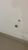 Sala-Conjunto, 100 m² - Foto 8