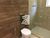 Casa, 5 quartos, 400 m² - Foto 3