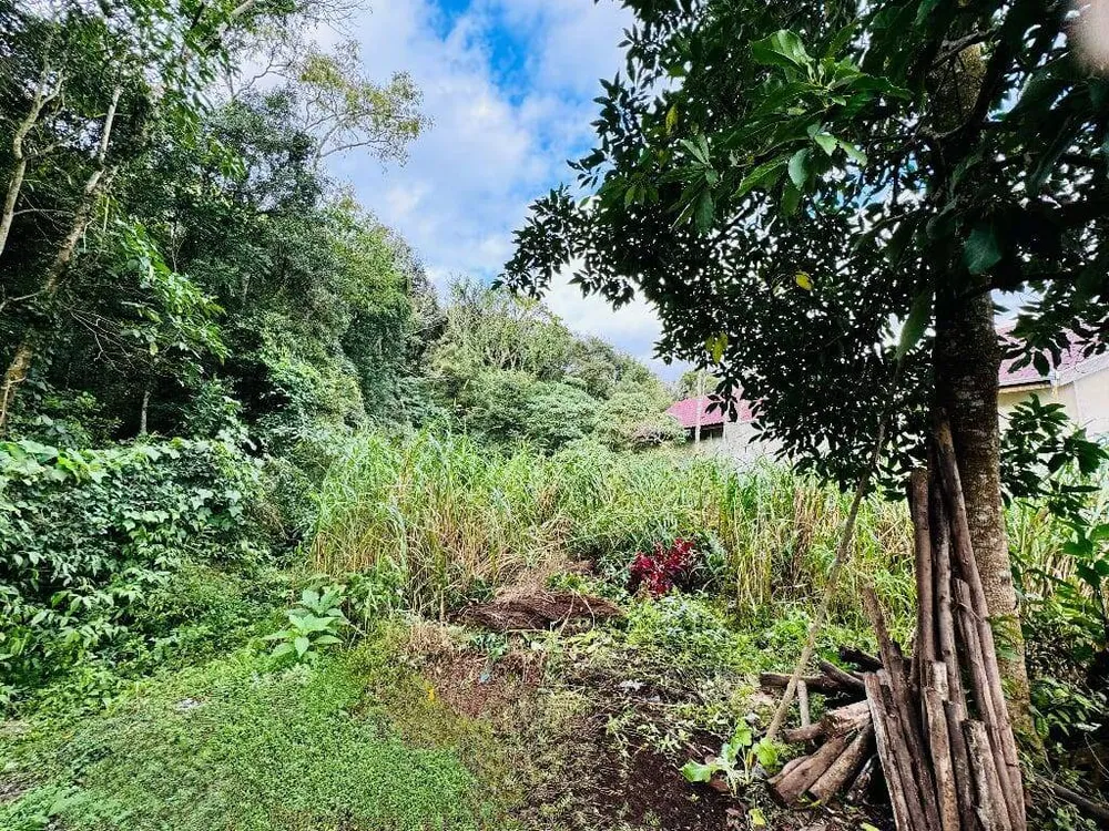 Terreno, 646 m² - Foto 5