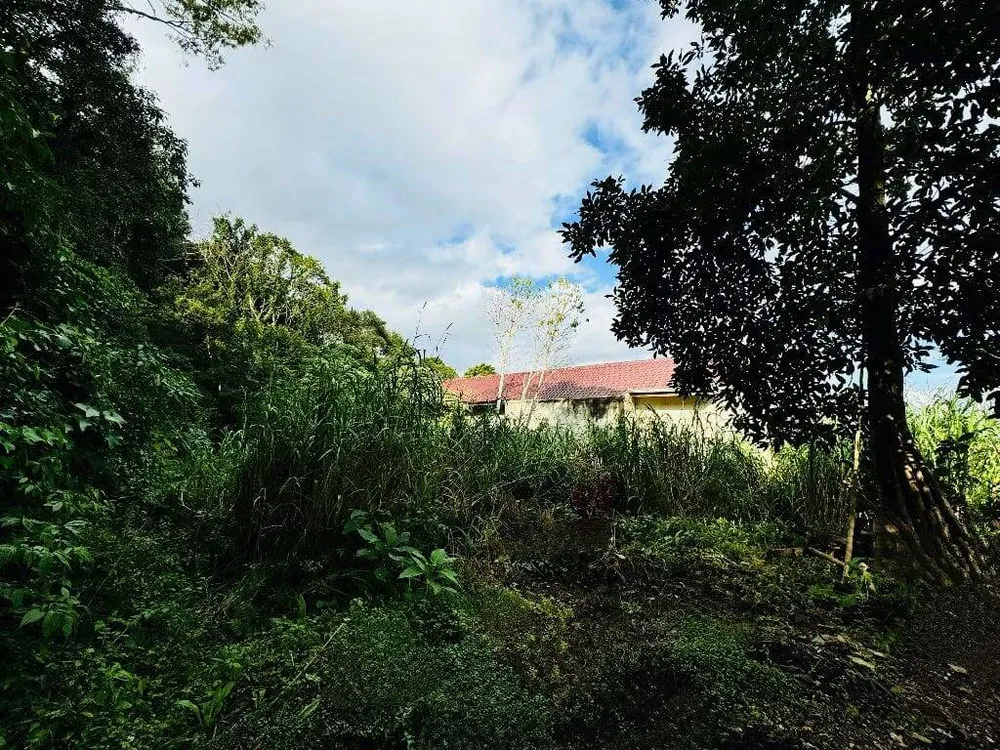 Terreno, 646 m² - Foto 6