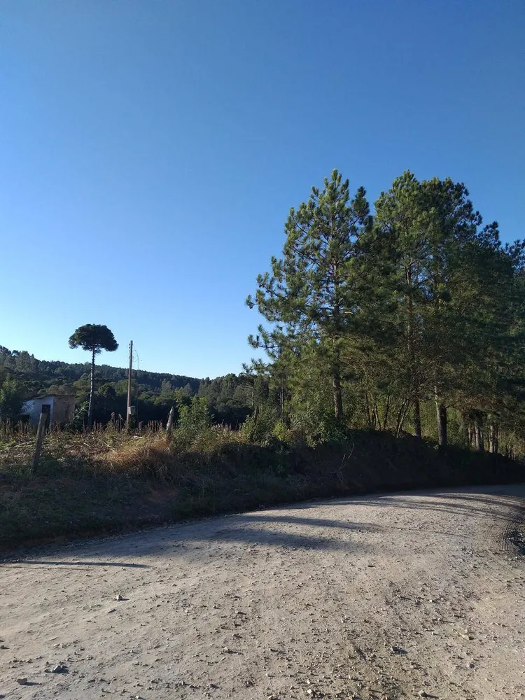 Terreno, 6 m² - Foto 3