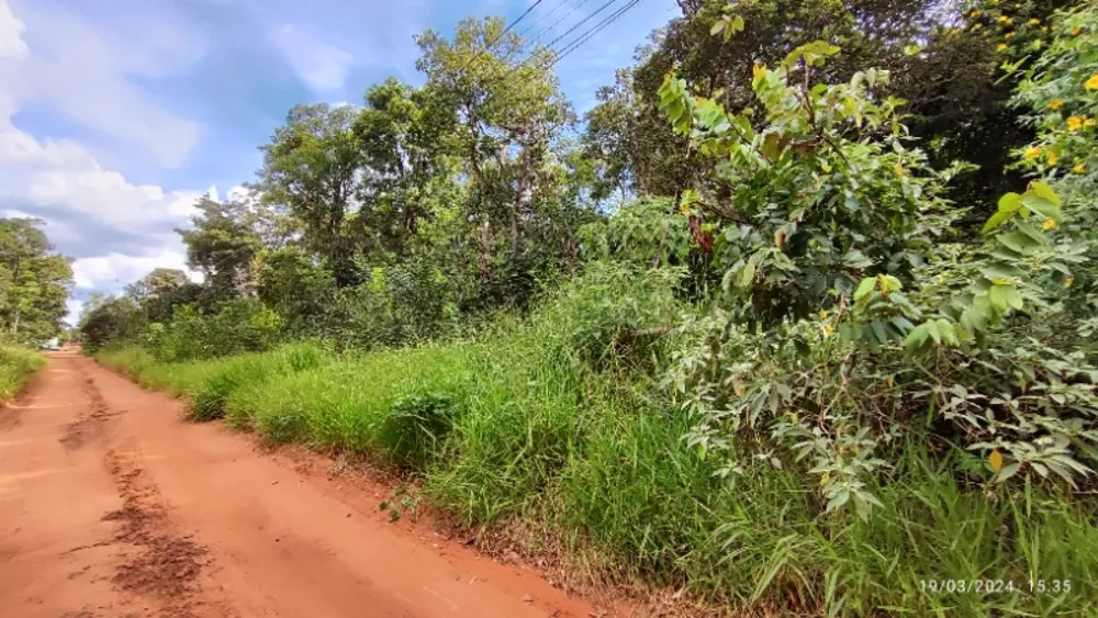 Chácara à venda - Foto 4