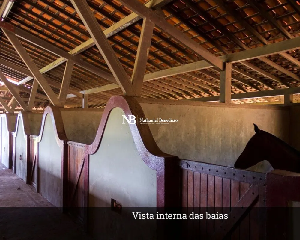 Terreno, 1 hectares - Foto 4